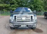 2011 Ford F-150 photo