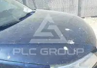 2011 Volkswagen Tiguan фото