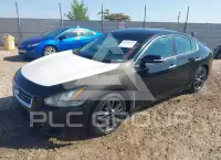2012 Nissan MAXIMA photo