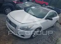 2012 Nissan MAXIMA фото