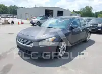 2012 Nissan MAXIMA photo