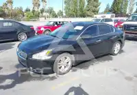 2012 Nissan MAXIMA photo