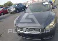 2012 Nissan MAXIMA фото