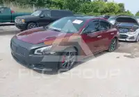 2012 Nissan MAXIMA фото