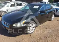 2012 Nissan MAXIMA photo