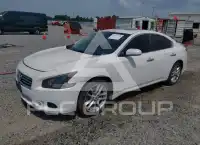 2012 Nissan MAXIMA фото
