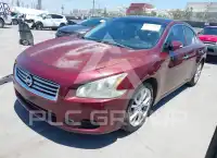 2012 Nissan MAXIMA фото