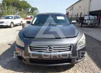 2012 Nissan MAXIMA photo