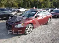 2012 Nissan MAXIMA фото