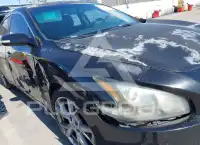 2012 Nissan MAXIMA фото