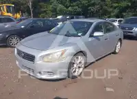 2012 Nissan MAXIMA фото