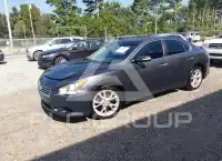 2012 Nissan MAXIMA photo