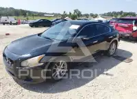 2012 Nissan MAXIMA фото