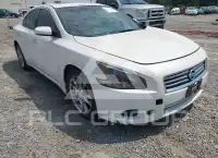 2012 Nissan MAXIMA фото