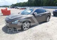2012 Nissan MAXIMA фото