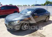 2012 Nissan MAXIMA фото