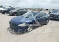 2012 Nissan MAXIMA photo