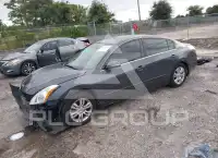 2012 Nissan ALTIMA фото
