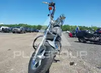 2012 Harley-Davidson XL1200 photo