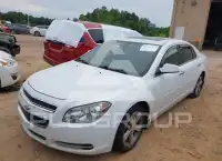 2012 Chevrolet Malibu photo