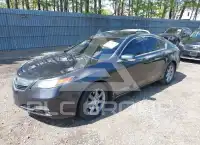 2012 Acura TL фото