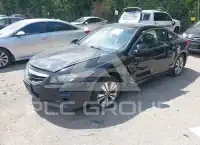 2012 Honda Accord photo