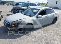2012 Honda Accord photo