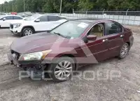2012 Honda Accord фото