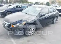 2012 Honda Accord фото