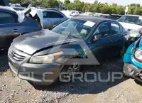 2012 Honda Accord photo