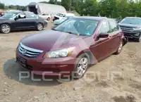 2012 Honda Accord фото