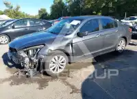 2012 Honda Accord фото