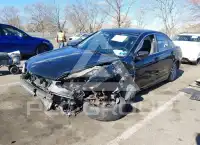 2012 Honda Accord photo
