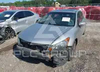 2012 Honda Accord photo