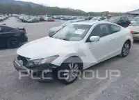 2012 Honda Accord photo
