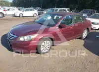 2012 Honda Accord photo
