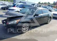 2012 Honda Accord photo