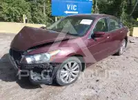 2012 Honda Accord photo