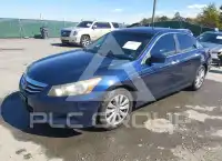 2012 Honda Accord photo