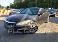 2012 Honda Accord photo