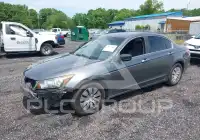 2012 Honda Accord photo