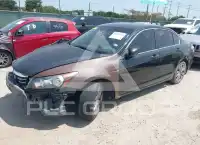 2012 Honda Accord фото