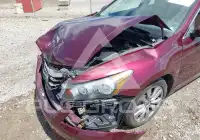 2012 Honda Accord фото