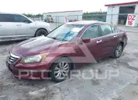 2012 Honda Accord photo
