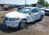 2012 Honda Accord photo