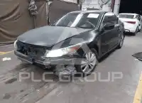2012 Honda Accord photo