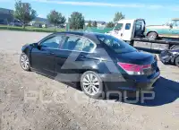 2012 Honda Accord photo