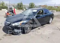 2012 Honda Accord photo