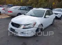 2012 Honda Accord фото