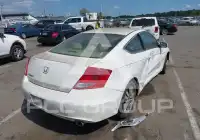 2012 Honda Accord photo